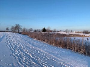 Read more about the article 10 Tips for Running in the Winter