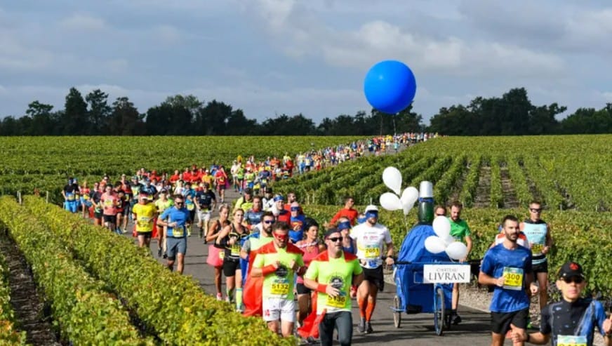 Runners travel through a vineyard during the marathon du medoc in France
